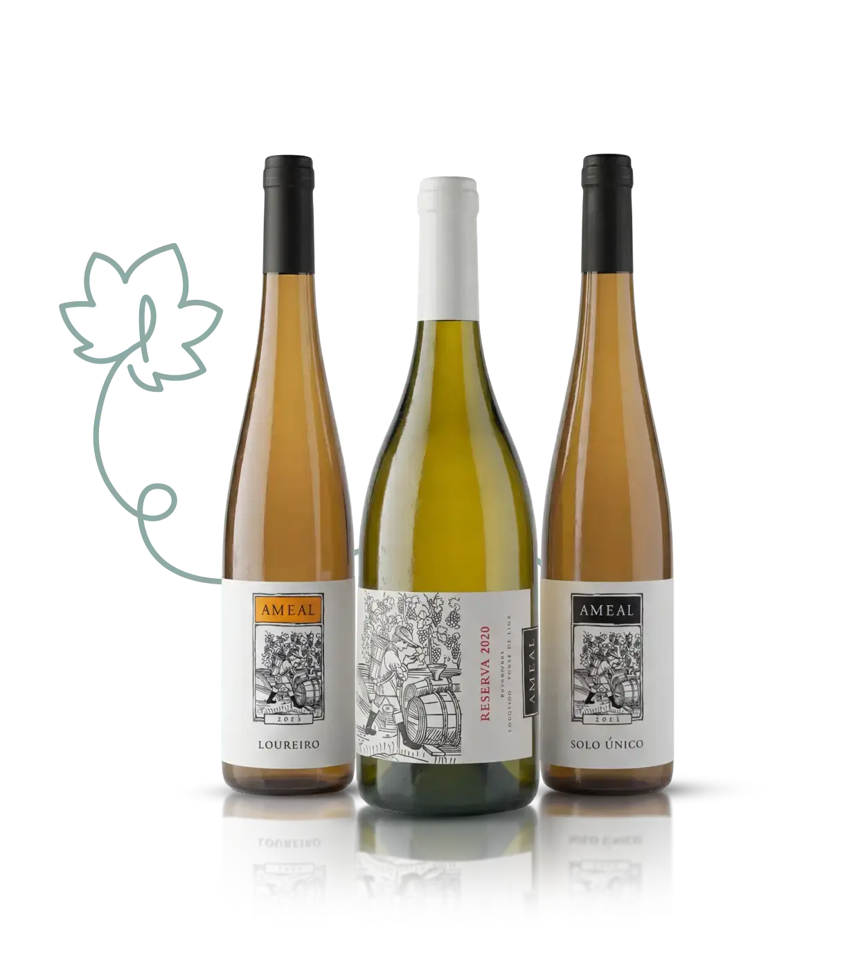 Esporão organic wine bottles and olive oil